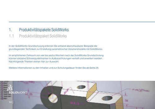 Schulungsprogramm (PDF) - DPS Software