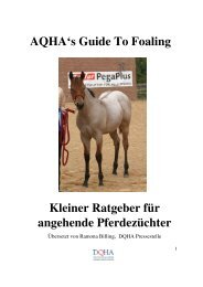 AQHA Foaling Guide deutsch - DQHA