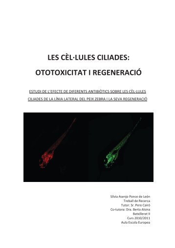 Les cèl·lules ciliades ototoxicitat i regeneració - Silvia Asenjo - Aula