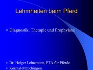 Lahmheiten beim Pferd (pdf) - Tierarztpraxis Dr. Leinemann