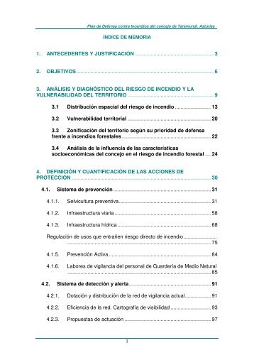 1 1. ANTECEDENTES Y JUSTIFICACIÓN ...