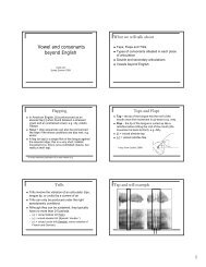 Vowel and consonants beyond English