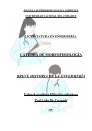 historia de la enfermera - Escuela Superior de Salud y Ambiente ...
