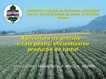 Agricultura de precizie - o cale pentru eficientizarea producţie de cartof