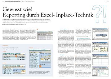 Gewusst wie! Reporting durch Excel- Inplace-Technik - DSAG