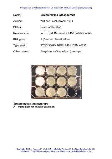 Name: Streptomyces luteosporeus Authors: Witt and ...  - DSMZ