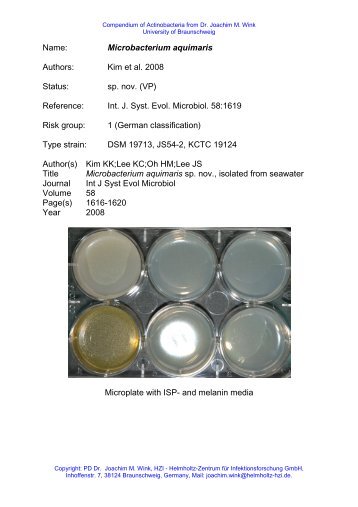 Name: Microbacterium aquimaris Authors: Kim et al. 2008 ... - DSMZ