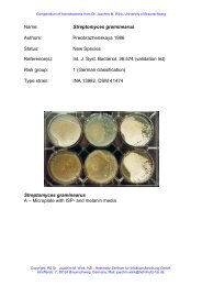 Name: Streptomyces graminearus Authors ... - DSMZ