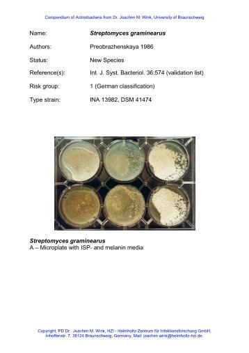 Name: Streptomyces graminearus Authors ... - DSMZ