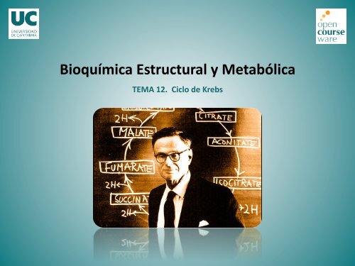 Tema 12. Ciclo de Krebs