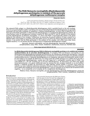 The P64k Neisseria meningitidis dihydrolipoamide ... - CIGB