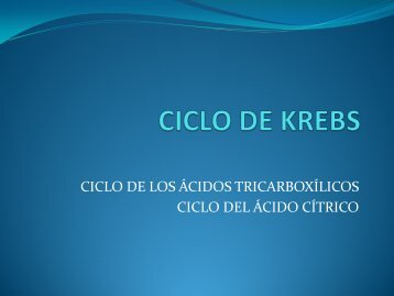 CICLO DE KREBS