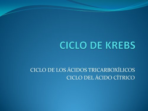 CICLO DE KREBS