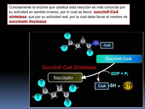 CICLO DE KREBS