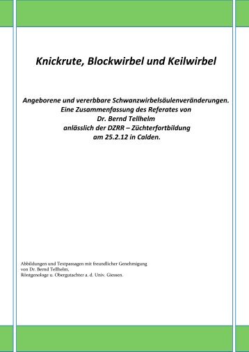 Knickrute, Blockwirbel und Keilwirbel - DZRR