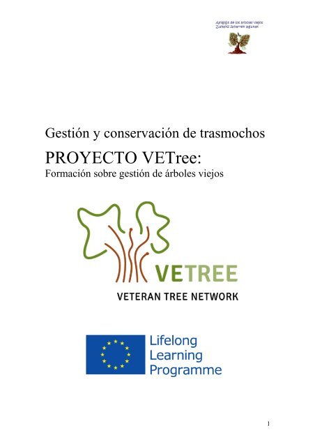 Gestión y conservación de árboles trasmochos - Escuela Técnica ...