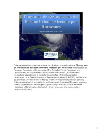 Pasos para una siembra apropiada - Miami-Dade County Extension ...