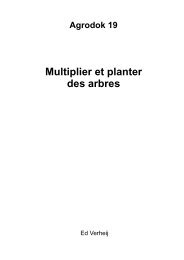 planter un arbre.pdf - Terre des jeunes