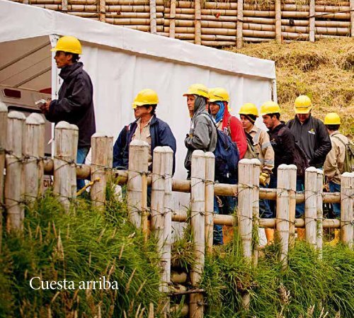 Un%20d%C3%ADa%20en%20la%20Colosa