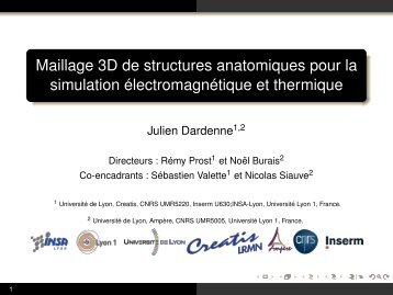 Maillage 3D de structures anatomiques pour la simulation ... - TEL