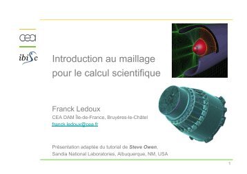 Introduction au maillage pour le calcul scientifique - IBISC