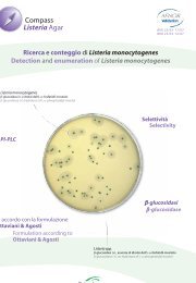Biokar Listeria Agar Compass - Did