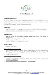 Bouillon Tryptone-sel