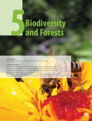 Biodiversity and Forests