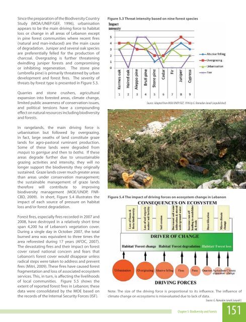 Biodiversity and Forests