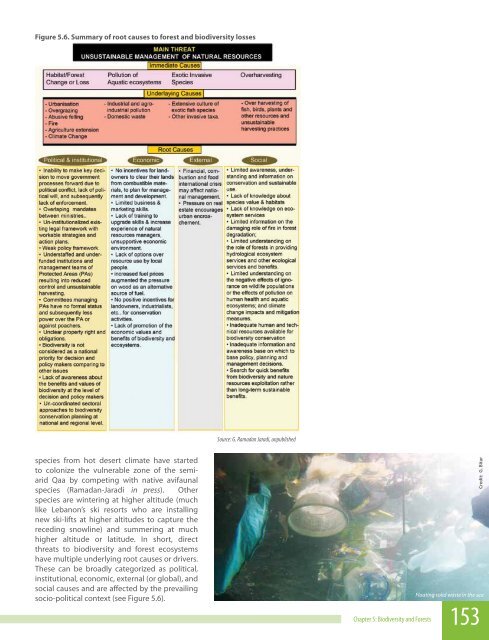 Biodiversity and Forests