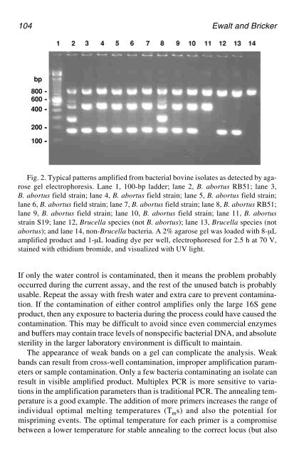 PCR Detection of Microbial Pathogens PCR Detection of Microbial ...