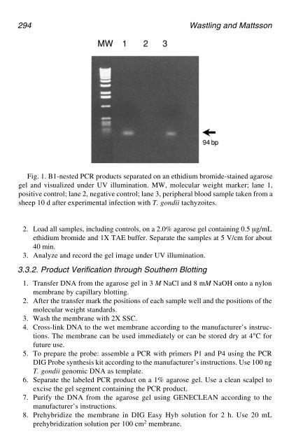 PCR Detection of Microbial Pathogens PCR Detection of Microbial ...