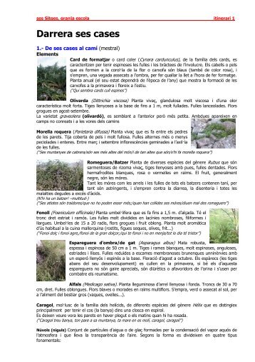 imprimir-ho en pdf - Ajuntament de Sant Llorenç des Cardassar