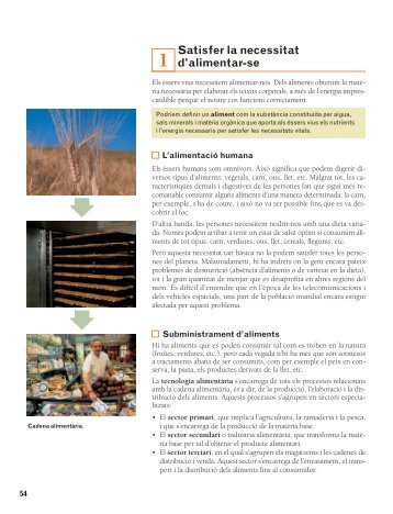 tema3: Alimentacio (2nESO) - peptecnologies
