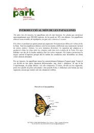 INTRODUCCIÓ AL MÓN DE LES PAPALLONES - Butterfly Park