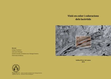 Visió en color i coloracions dels lacèrtids - Universitat de València