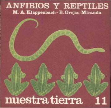 Nº 11 - Anfibios y reptiles / M. A. Klappenbach, B. Orejas, Miranda