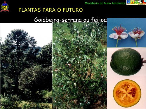 Projeto Pró-Bio/Plantas do Futuro