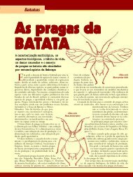 As pragas da BATATA - Grupo Cultivar