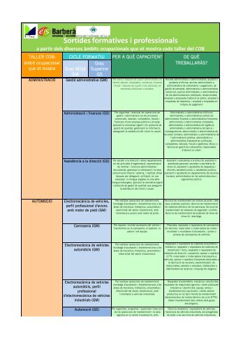 Sortides Formatives i Professionals - Actualitza't