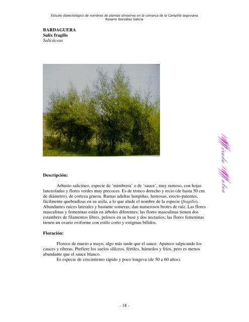 Estudio dialectológico de nombres de plantas silvestres en la ...