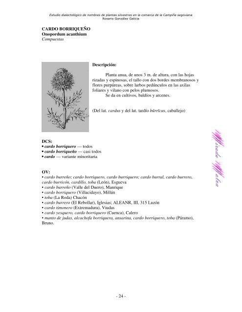 Estudio dialectológico de nombres de plantas silvestres en la ...