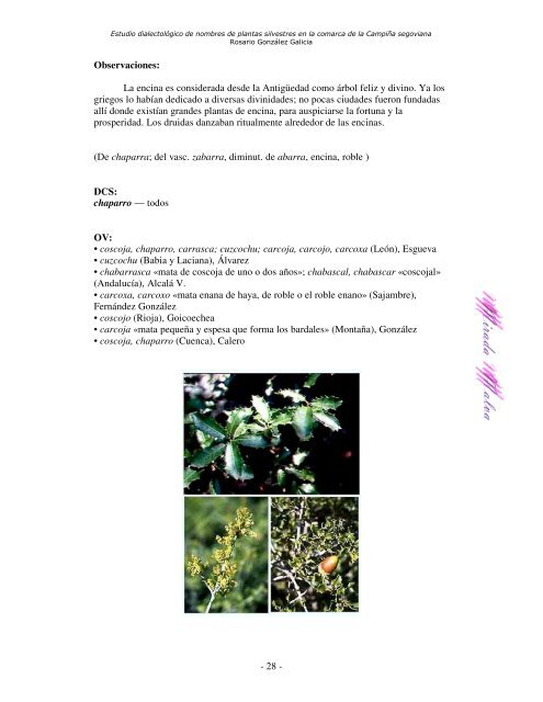 Estudio dialectológico de nombres de plantas silvestres en la ...