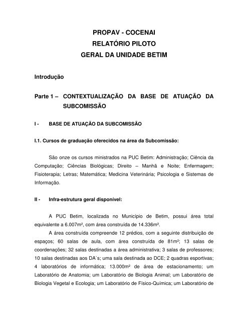 propav - cocenai relatório piloto geral da unidade betim - PUC Minas