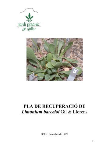 "Pla de recuperació de Limonium barceloi Gil&Llorens".