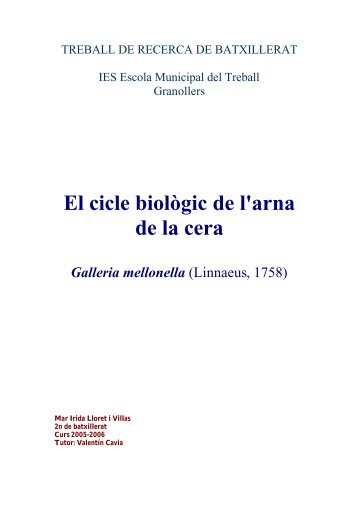 Treball en PDF (versió en català) - Inici