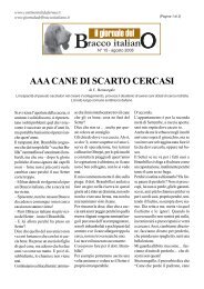 racco italian il giornale del - Bracco Italiano