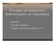 Procesos de Deposición: Sedimentación en Carbonatos Procesos ...