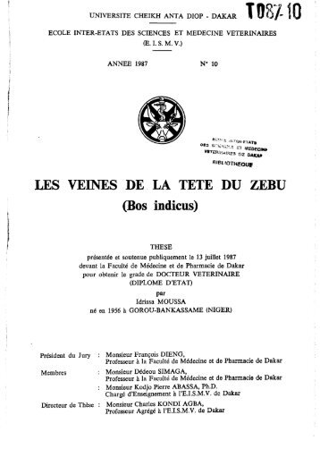 Les Veines de la tête du zébu (Bos indicus) - BEEP