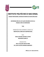 INSTITUTO POLITÉCNICO NACIONAL - Biotecnologia.upibi.ipn.mx ...